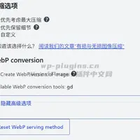 WP-Optimize WebP图片转换无法使用问题