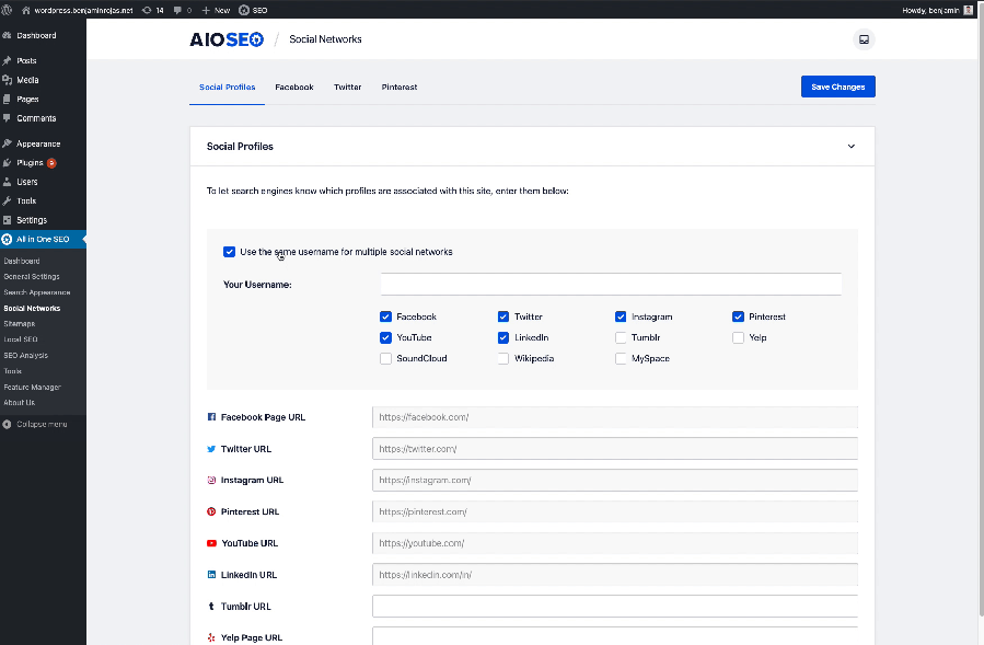 all-in-one-seo-pack-截图6