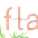 专为 Contact Form 7 打造的消息存储插件Flamingo