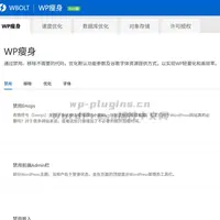 综合性能加速优化插件WPTurbo
