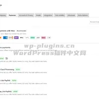 woocommerce-paypal-payments-截图4