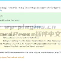 host-webfonts-local-截图2