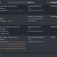 query-monitor-截图6