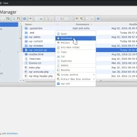 wp-file-manager-截图13