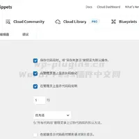Code Snippets代码片段中文汉化语言包下载